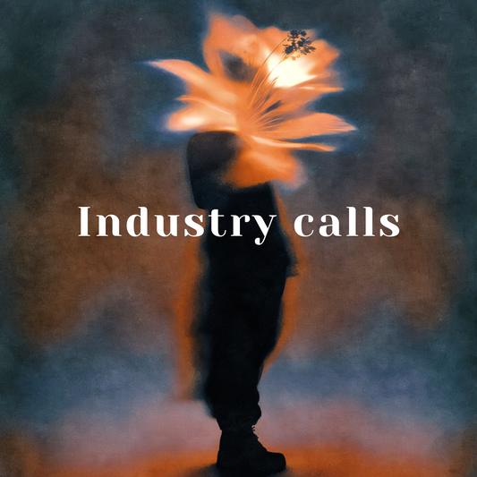 "Industry calls " R&B type beat