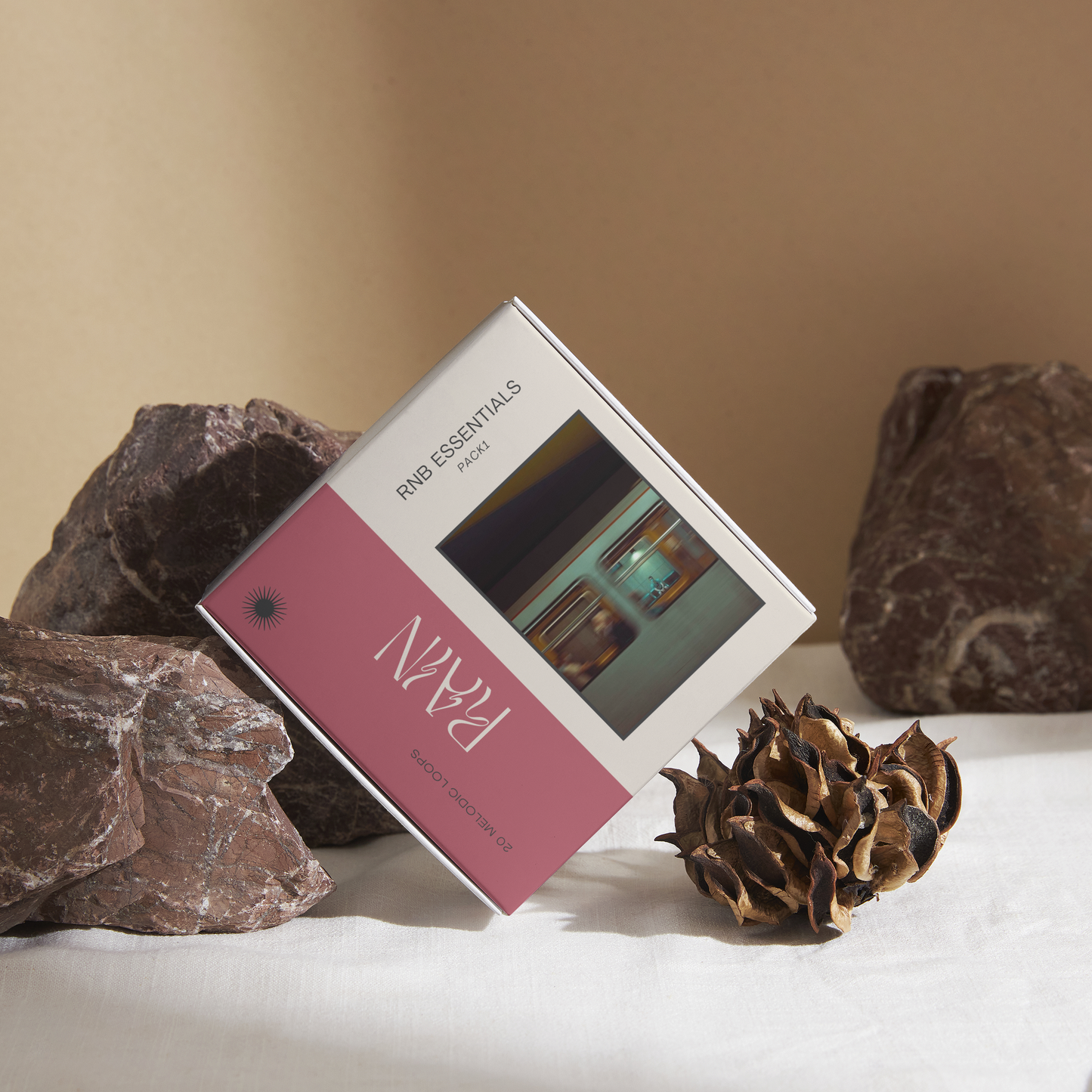 Rain R&B Melodic Sample Pack