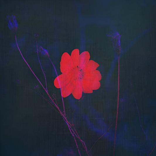 "Testify" R&B type beat